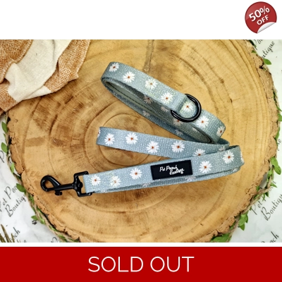 Pretty Little Pastel Green Daisies Lead - Reversible